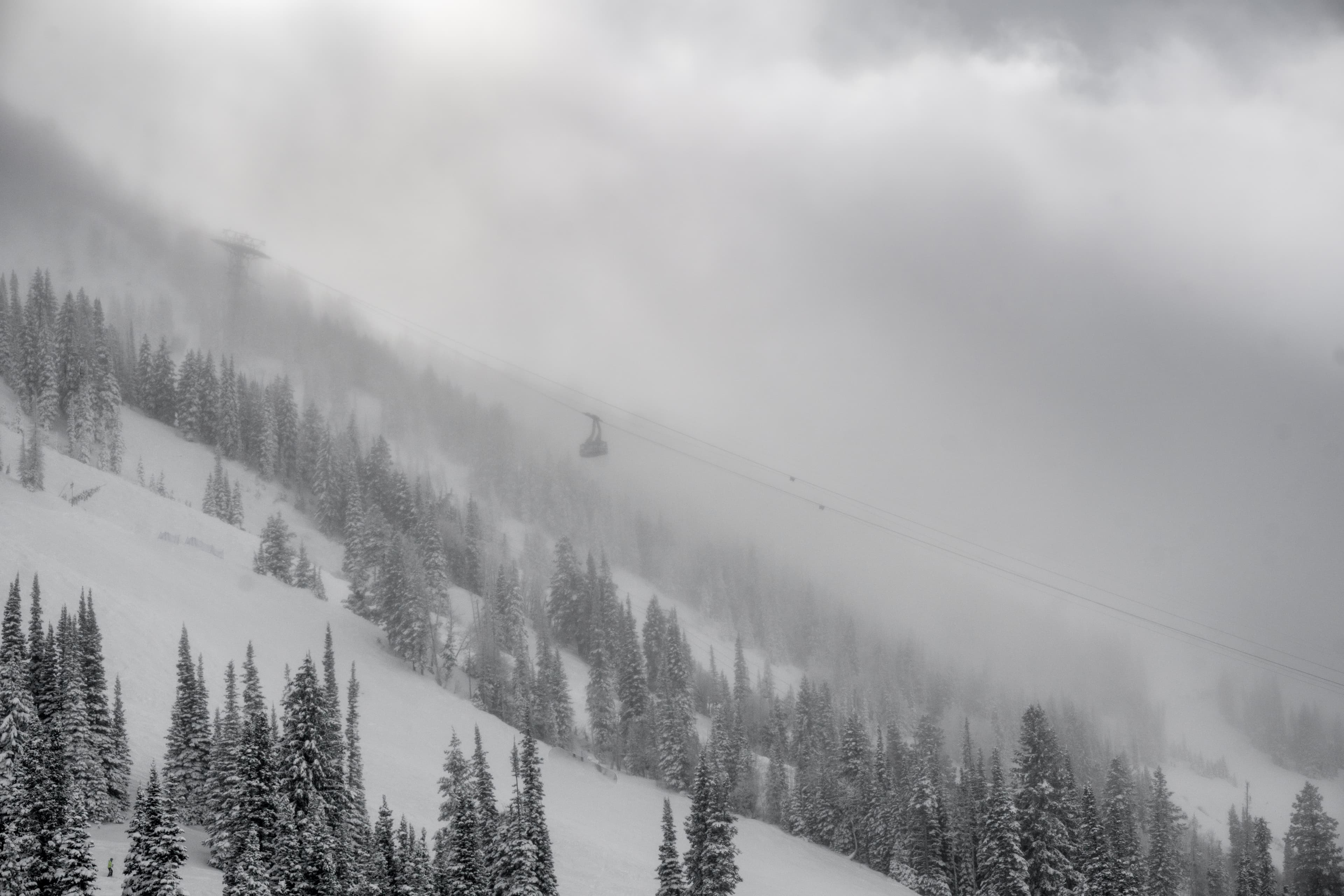 Snowbird ski resort